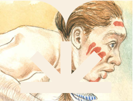 Portada IDI1: ¿Quién era Paloma?