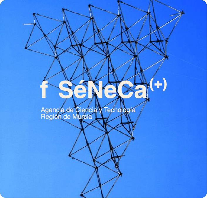 Imagen de la entidad financiadora en grande